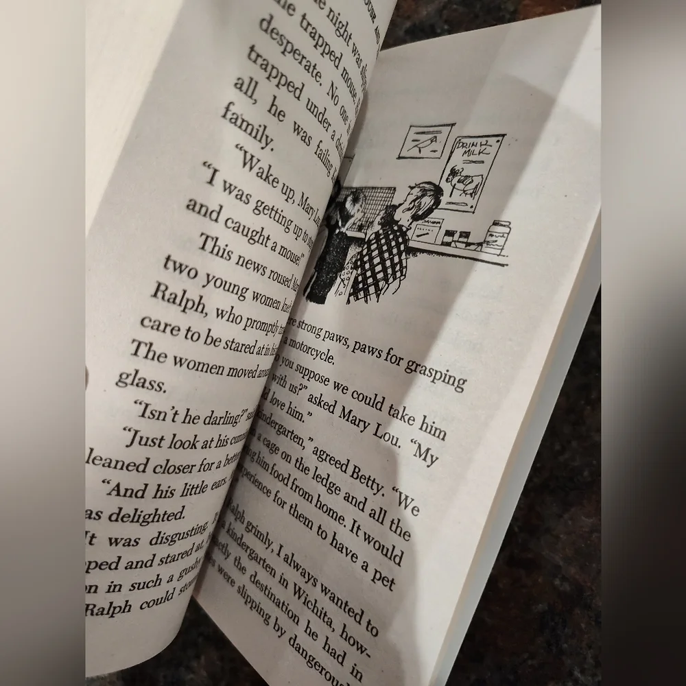 The Mouse and the Motorcycle Book